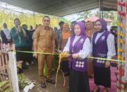 Wabup Lahmudin Hadiri Launching Implementasi Posyandu Di Dulupi