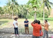 Wabup Boalemo Tinjau Lahan Bibit Durian di Botumoito, Pastikan Program PAHAM Tepat Sasaran