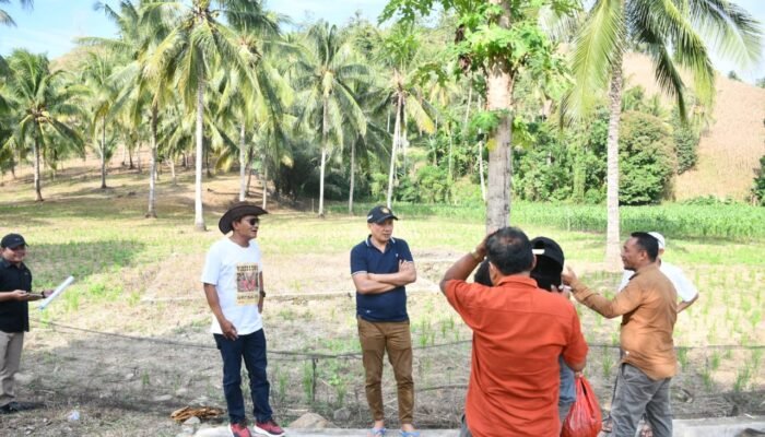 Wabup Boalemo Tinjau Lahan Bibit Durian di Botumoito, Pastikan Program PAHAM Tepat Sasaran
